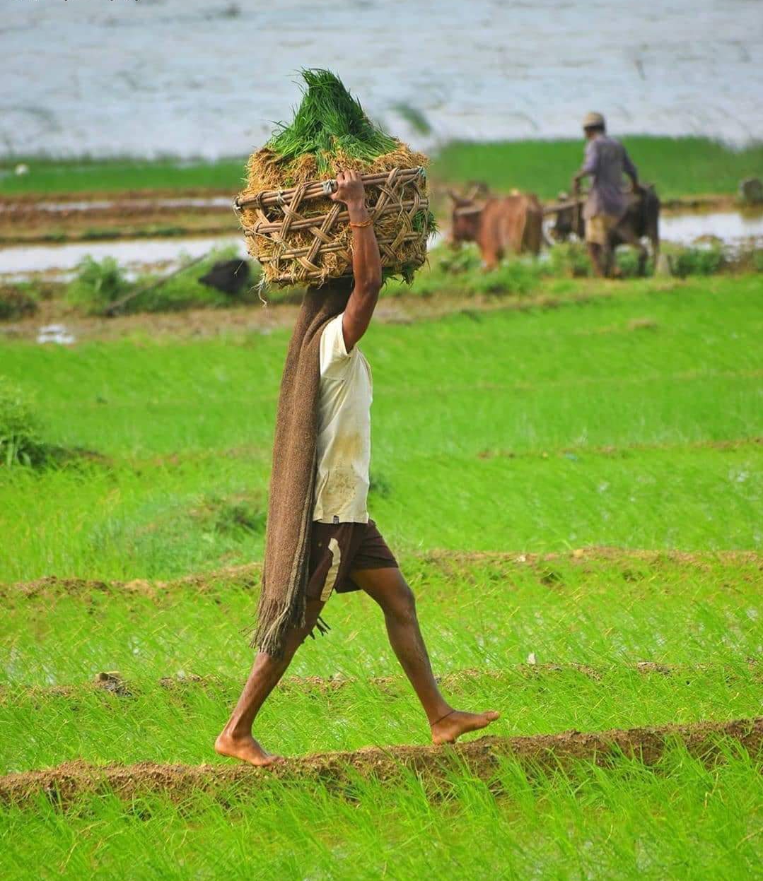 ರೈತರ ಬೆಳೆ ಸಮೀಕ್ಷೆಗೆ ಮೊಬೈಲ್ ಆ್ಯಪ್ ಬಳಕೆ- ಹೊನ್ನಪ್ಪ ಗೌಡ
