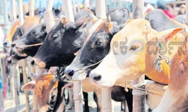 ಹಾಲು ನೀಡಿದ ಮಾತೆಗೆ ಹಾಲಾಹಲ...! ಹೀಗೇ ಹೋದರೆ ಜೀವನವೇ ಕೋಲಾಹಲ...! 