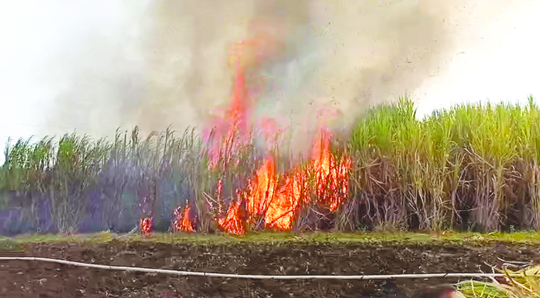 ಕಬ್ಬಿನ ಬೆಳೆಗೆ ಬೆಂಕಿ..! ಸುಮಾರು 200 ಎಕರೆ ಬೆಳೆದ ಕಬ್ಬು ಅಗ್ನಿಗಾಹುತಿ..! ಕೋಟ್ಯಾಂತರ ರೂಪಾಯಿ ಹಾನಿ..!! 