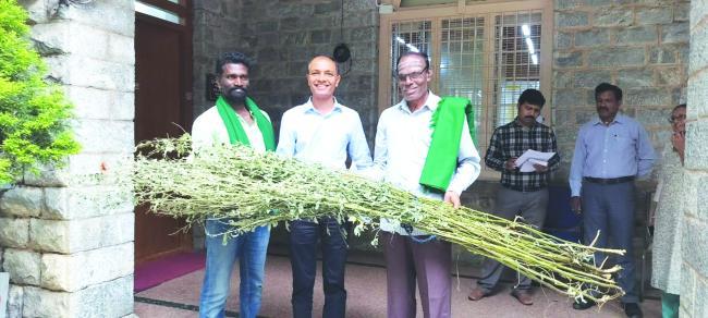 ತೊಗರಿ ಬೆಳೆ ಹಾನಿ: ಪರಿಹಾರಕ್ಕೆ ಆಗ್ರಹಿಸಿ ಮನವಿ 