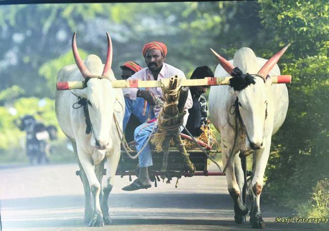 ಫೋಟೋಗ್ರಾಫಿಗೆ ಬಹಳಷ್ಟು ತಾಳ್ಮೆ ಇರಬೇಕು: ಪ್ರೊ. ಪತ್ತಾರ 