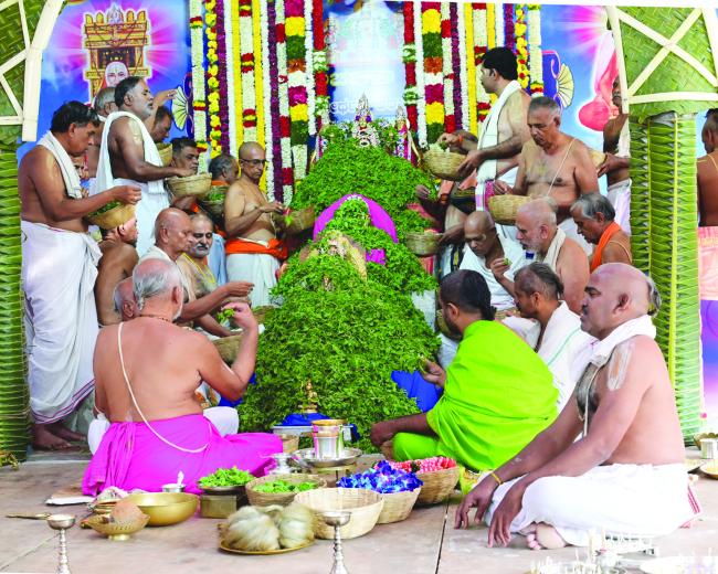 ಶ್ರೀ ರಾಘವೇಂದ್ರಸ್ವಾಮಿಗಳ ಮಠದಲ್ಲಿ ಅದ್ಧೂರಿಯಾಗಿ ಜರುಗಿದ ಲಕ್ಷ ತುಳಸಿ ಅರ್ಚನಾ ಕಾರ್ಯಕ್ರಮ 