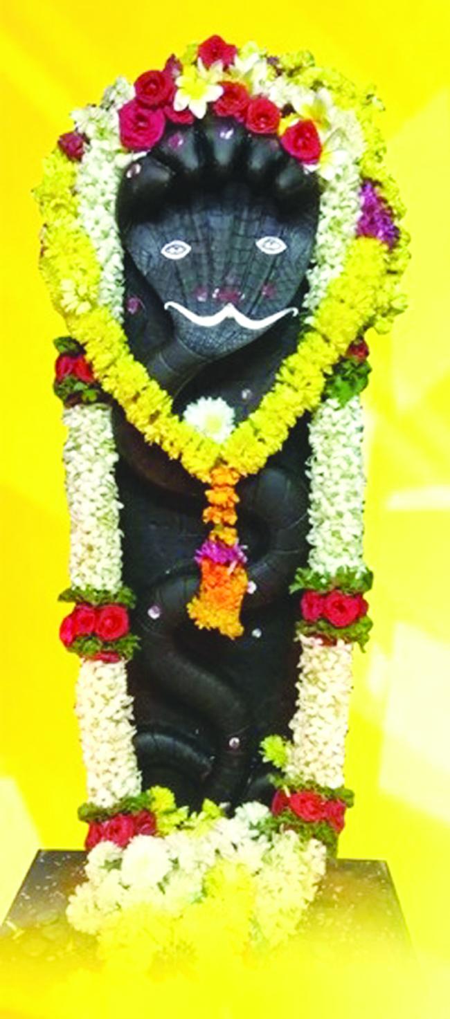 ಇಂದು  ನಾಗದೇವತಾ ದೇವಸ್ಥಾನ ಕಾರ್ತಿಕೋತ್ಸವ 