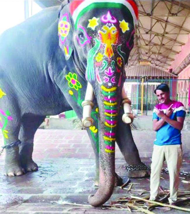 ಆನೆಗೆ ಮದವೇರಿ ಸಹಾಯಕ ಮಾವುತನನ್ನೆ ದಾರುಣವಾಗಿ ಕೊಂದ ಘಟನೆ