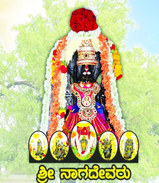 ಇಟಗಿ ನಾಗಚೌಡೇಶ್ವರಿ ಕ್ಷೇತ್ರದಲ್ಲಿ ಎಳ್ಳು ಅಮಾವಾಸ್ಯೆ ಪೂಜೆ