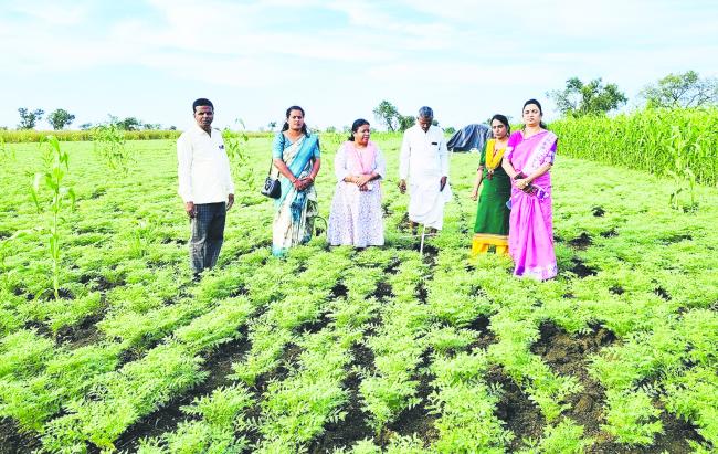 ರೈತ ಬಾಂಧವರಿಗೆ ಸಲಹೆ