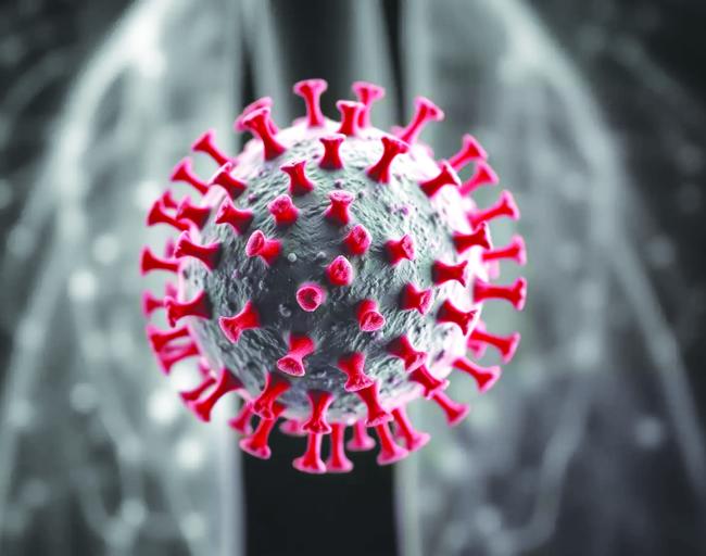 ಕರ್ನಾಟಕದಲ್ಲಿ HMPV ನ ಎರಡು ಪ್ರಕರಣಗಳು ಪತ್ತೆ: ಆರೋಗ್ಯ ಇಲಾಖೆಯ ಮಾರ್ಗಸೂಚಿ