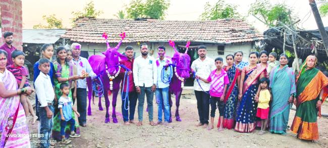 ಪ್ರಗತಿ ಪರ ರೈತರಾದ ಗೌರಾಣಿ ಕುಟುಂಬ 