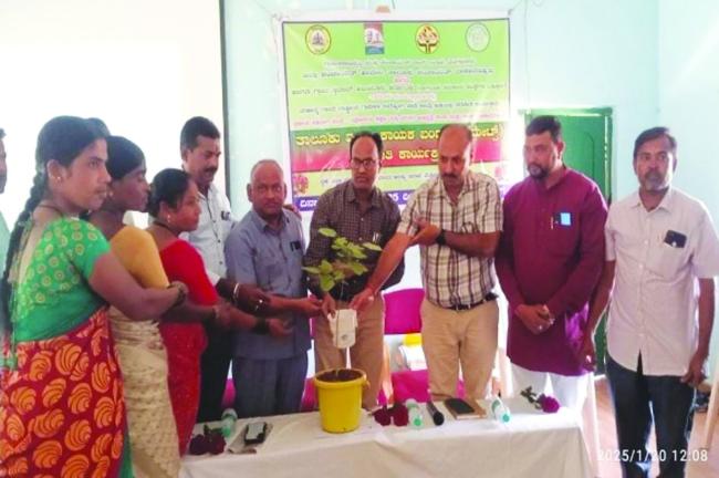 ನರೇಗಾ ಯೋಜನೆ ಕುರಿತು ಮೂರು ದಿನದ ತರಬೇತಿ ಕಾರ್ಯಗಾರ ಉದ್ಘಾಟನೆ