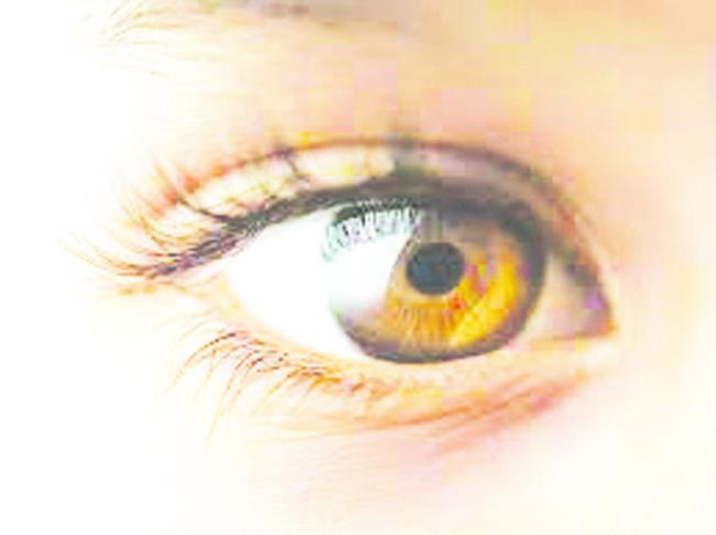 ಉಚಿತ ನೇತ್ರ ತಪಾಸಣಾ ಮತ್ತು ಶಸ್ತ್ರ ಚಿಕಿತ್ಸಾ ಶಿಬಿರ