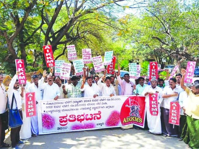 5531 ಮೆಣಸಿನಕಾಯಿಗೆ 25,000, 2043 ಬ್ಯಾಡಗಿ ಮೆಣಸಿನಕಾಯಿಗೆ 50,000 ರೂ  ಬೆಲೆಗಾಗಿ ಪ್ರತಿಭಟನೆ