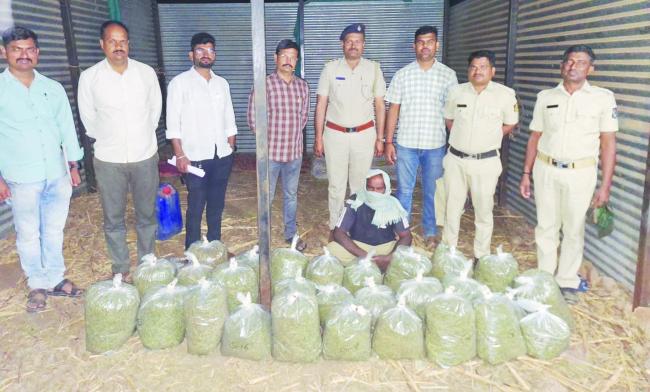 ಅಕ್ರಮವಾಗಿ ಸಂಗ್ರಹಿಸಿಟ್ಟಿದ್ದ ಗಾಂಜಾ ವಶ: ಆರೋಪಿ ಬಂಧನ