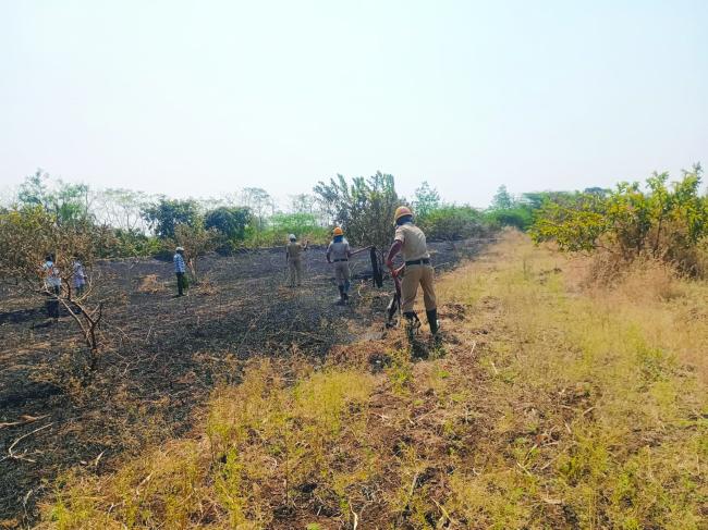 ರೈತನ ಜಮೀನಿಗೆ ಬೆಂಕಿ ತಗುಲಿ ಅಪಾರ ಪ್ರಮಾಣದ ಬೆಳೆ ನಾಶ 
