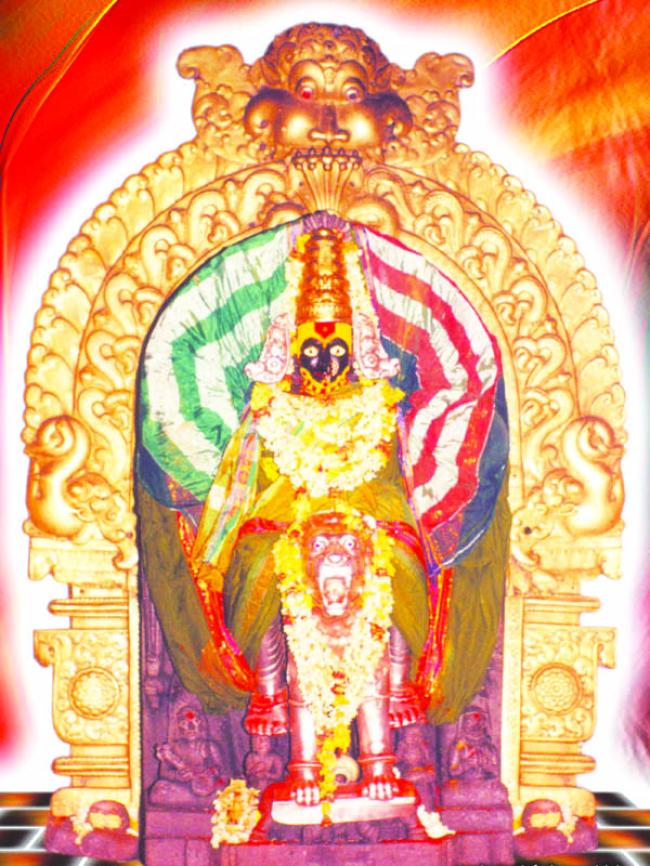  ಬನಶಂಕರಿದೇವಿ ಜಾತ್ರಾ ಮಹೋತ್ಸವ ಇಂದು  ಸಂಗೀತೋತ್ಸವ 2025 ರಸಮಂಜರಿ ಕಾರ್ಯಕ್ರಮ