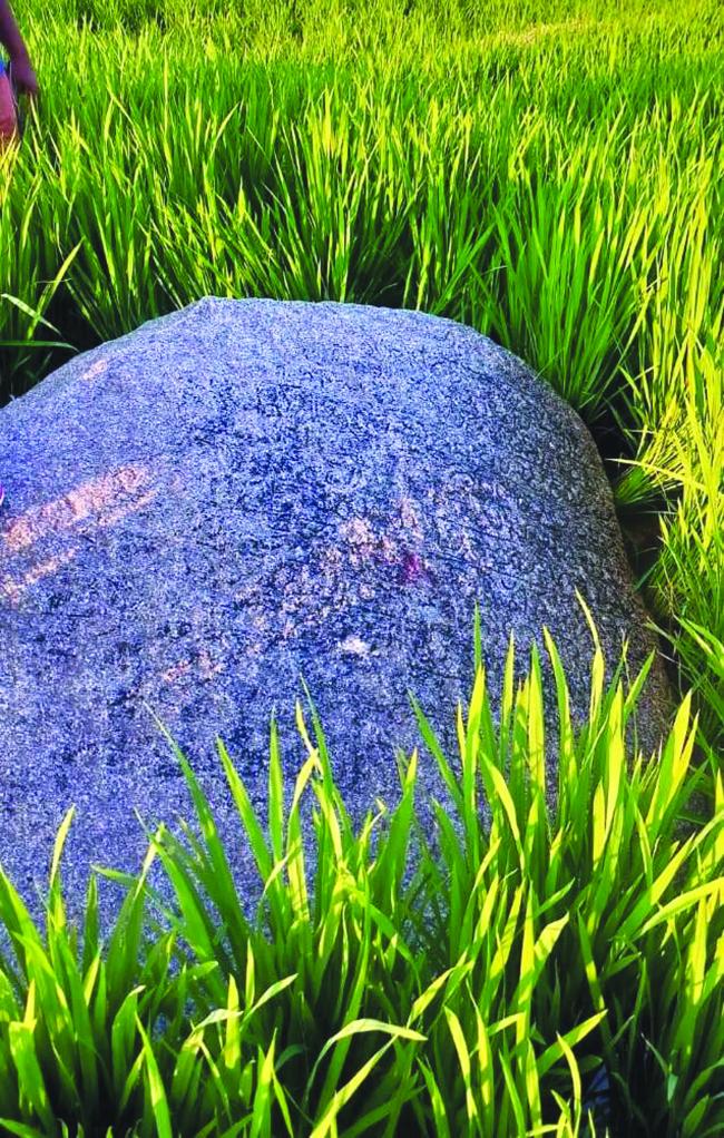 ಕಣವಿ ತಿಮ್ಮಾಪುರದಲ್ಲಿ ತೆಲುಗು ಶಾಸನ ಪತ್ತೆ