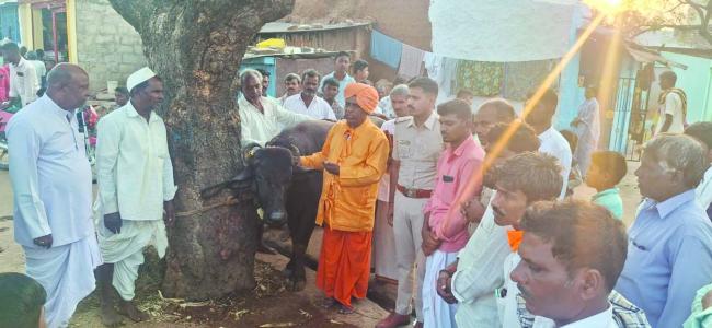 ಬಲಿಗೆಂದು ಮೀಸಲು  ಇಟ್ಟಿದ್ದ ಕೋಣ ಹಸ್ತಾಂತರಿಸಿದ ಗ್ರಾಮಸ್ಥರು