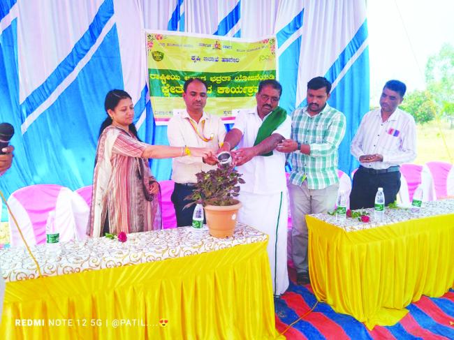 ಜೋಳದ ಬೆಳೆ ಕ್ಷೇತ್ರೋತ್ಸವ  