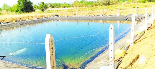 ಕೃಷಿ ಹೊಂಡಕ್ಕೆ ತಂತಿಬೇಲಿ ಹಾಕಿ-ಈಜಬಾರದೆಂದು ಸೂಚನಾ ಫಲಕ ಅಳವಡಿಸಿ 