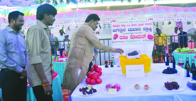 ಕೊಪ್ಪಳ ಹಣ್ಣು-ಜೇನು ಹಬ್ಬ: ಮಹಾ ಶಿವರಾತ್ರಿ ಪ್ರಯುಕ್ತ ತೋಟಗಾರಿಕೆ ಇಲಾಖೆಯ ವಿಶೇಷ