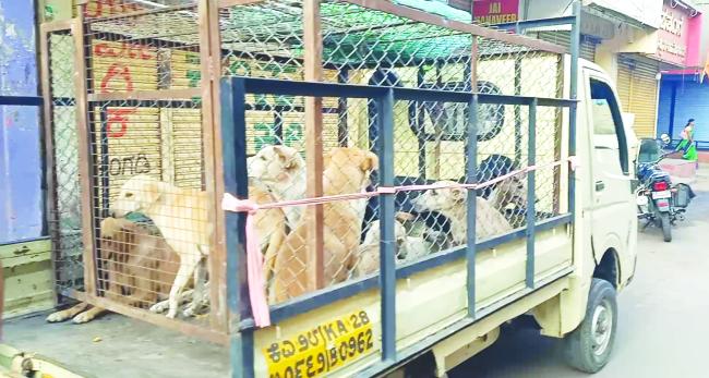 ಆರೋಗ್ಯ ಕೇಂದ್ರದಲ್ಲಿ ಬಾಣಂತಿ ಮತ್ತು ರೋಗಿಗಳಿಗೆ ಬ್ರೇಡ್ ಹಣ್ಣು, ಹಾಲು ವಿತರಣೆ 