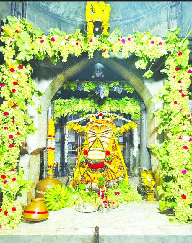 5 ಕ್ವಿಂಟಲ್ ದ್ರಾಕ್ಷಿ ಹಣ್ಣಿನಿಂದ ಖಿಳೇಗಾಂವ ಬಸವೇಶ್ವರನಿಗೆ ಅಲಂಕಾರ, ಪೂಜೆ  