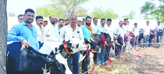 ಗ್ರಾಮೀಣ ಪ್ರದೇಶದಲ್ಲಿ ಒಳ್ಳೆಯ ಜಾತಿಯ ಜಾನುವಾರುಗಳನ್ನು ರೈತರು ಸಂಗೋಪಣೆ  