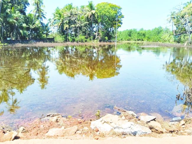 ಕಿನ್ನರ ಗ್ರಾಮಕ್ಕೆ ಬಂದ  ಉಪ್ಪನೀರು: ಬಿಸಲ ಝಳಕ್ಕೆ ಭರತ ಹೆಚ್ಚಳ 