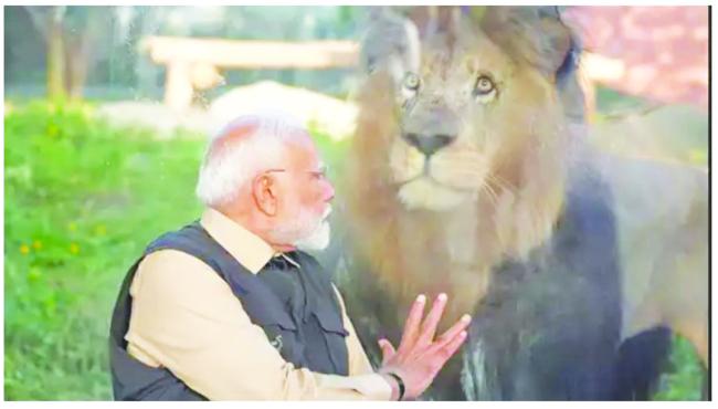 ಗುಜರಾತ್ ವಂತಾರದಲ್ಲಿ ವನ್ಯಜೀವಿ ಪುನವರ್ಸತಿ ಸಂರಕ್ಷಣಾ ಕೇಂದ್ರ ಉದ್ಘಾಟನೆ    