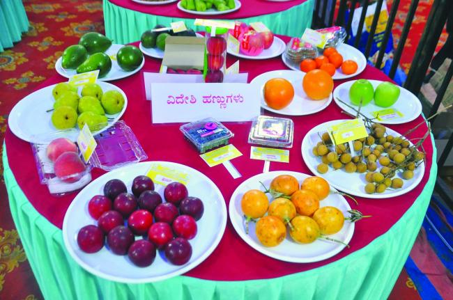 ದಾಖಲೆ ವಹಿವಾಟು ನಡೆಸಿದ ಕೊಪ್ಪಳ ಹಣ್ಣು ಮತ್ತು ಜೇನು ಮೇಳ