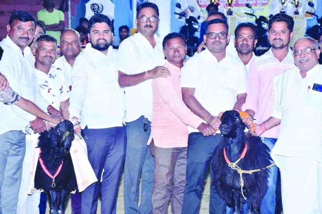 ಗ್ರಾಮದೇವಿ ಜಾತ್ರಾ ಮಹೋತ್ಸವ ಅಂಗವಾಗಿ ಟಗರಿನ ಕಾಳಗ ಆಯೋಜನೆ