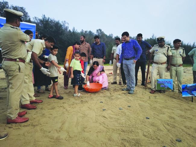 ಸಮುದ್ರ ಮನೆ ಸೇರಿದ ಆಲಿವ್ ರಿಡ್ಲೆ ಕಡಲಾಮೆ ಮರಿಗಳು : ಜಿಲ್ಲಾಧಿಕಾರಿ ಲಕ್ಷ್ಮಿಪ್ರಿಯಾಯಿಂದ ಮರಿಗಳಿಗೆ ಸಾಗರ ದೀಕ್ಷೆ  