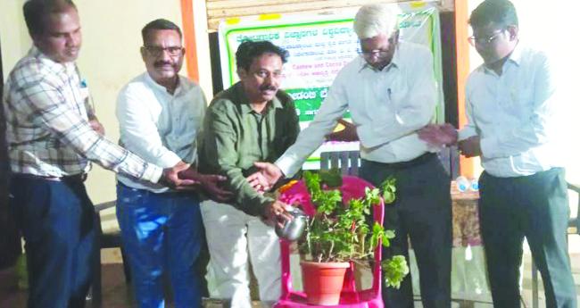 ಗೋಡಂಬಿ ಬೆಳೆಯಲು ರೈತರು ಮುಂದಾಗಿ : ಡಾ.ಗಾಣಿಗೇರ 