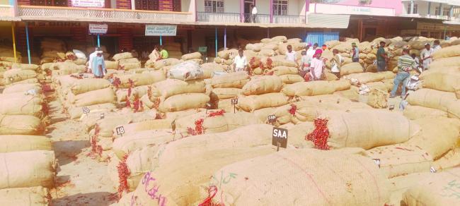 ಮೆಣಸಿನಕಾಯಿ: 247196 ಚೀಲಗಳು ಆವಕ 