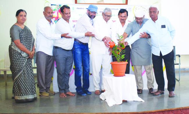 ಗೋಡಂಬಿ ಬೆಳೆ ವಿಚಾರ ಸಂಕಿರಣ 
