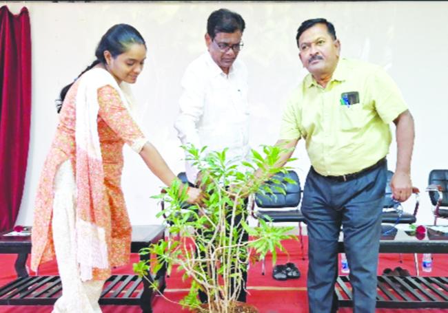 ಮನುಷ್ಯನ ದುರಾಸೆಯಿಂದ ಅರಣ್ಯ ಸಂಪತ್ತು ನಾಶ: .ಪಾಟೀಲ್‌