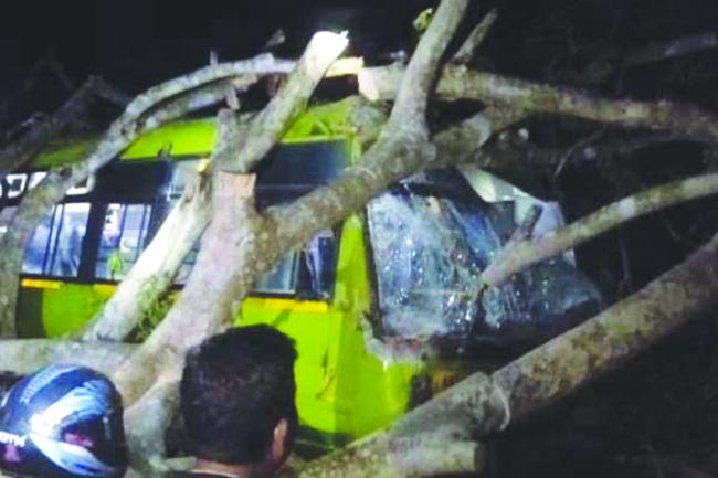 ಜೋರಾದ ಗಾಳಿಯಿಂದ ಬಸ ಮೇಲೆ ಬಿದ್ದ್‌ ಮರ್