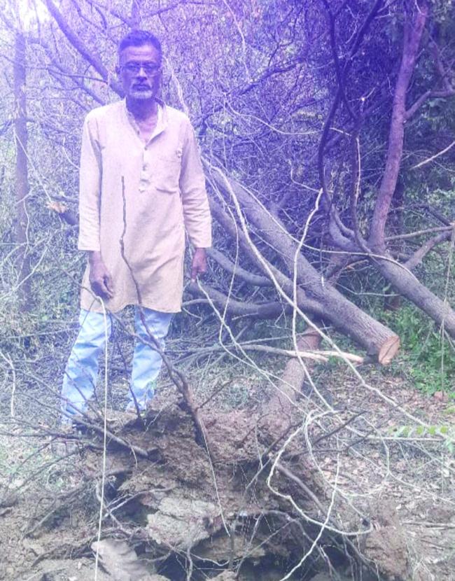 ಎರಡು ಲಕ್ಷ ಮೌಲ್ಯದ ಶ್ರೀಗಂಧ ಕಳ್ಳತನ