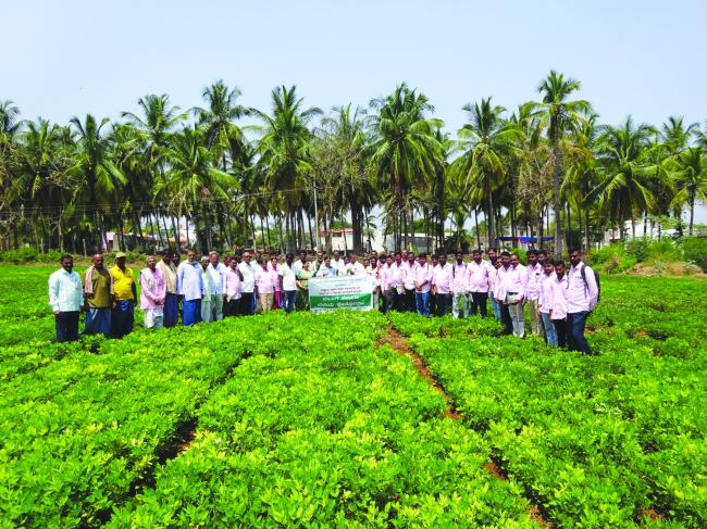 ಬೇಸಿಗೆ ಶೇಂಗಾ ಬೆಳೆಯಲ್ಲಿ ಕ್ಷೇತ್ರೋತ್ಸವ ಹಾಗೂ ಶೇಂಗಾ ಬಳ್ಳಿ ಕೀಳುವ ಯಂತ್ರದ ಪ್ರಾತ್ಯಕ್ಷಿಕೆ