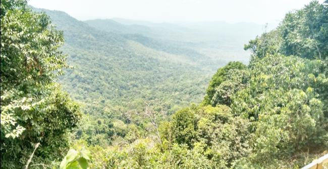 ಪಶ್ಚಿಮ ಘಟ್ಟಗಳ ದಟ್ಟ ಅರಣ್ಯದಲ್ಲಿ ಚಾರಣ ಪಥಕ್ಕೆ ಅರಣ್ಯ ಇಲಾಖೆ ಸಜ್ಜು