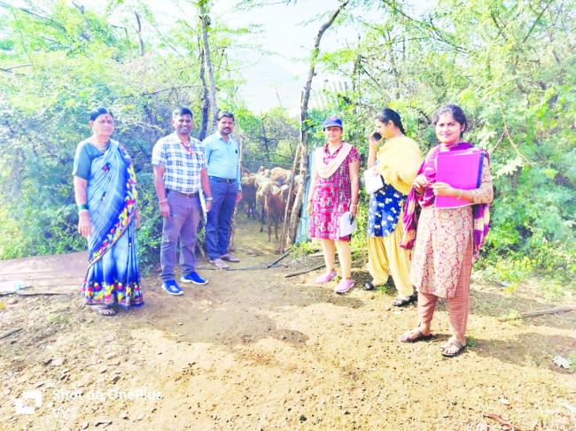 ಗುಡ್ಡಗಾಡಿನಲ್ಲಿ ಯಶಸ್ಸು ಕಂಡ ರೈತ ಮಹಿಳೆ 