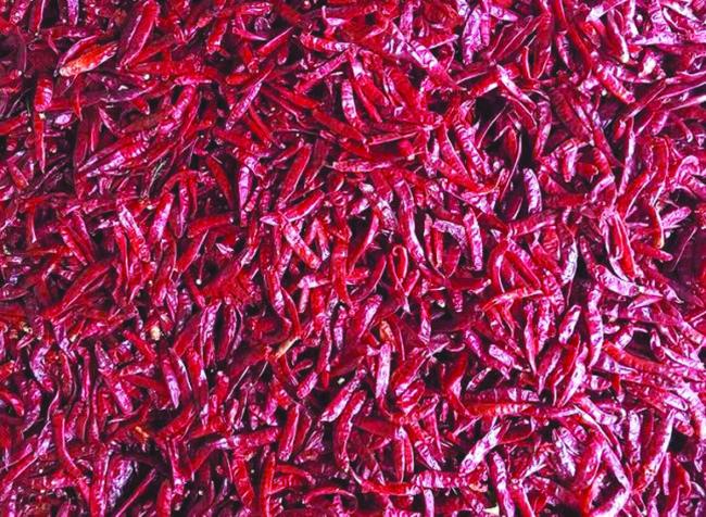 ಬ್ಯಾಡಗಿ ಮೆಣಸಿನ ಕಾಯಿ ಆವಕ 