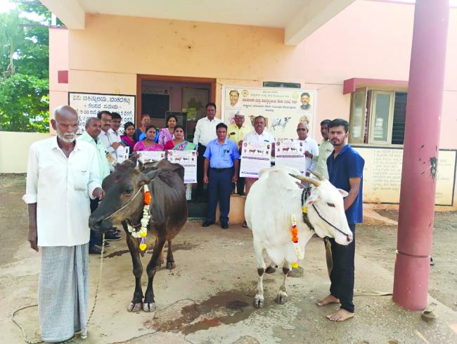 ರಾಷ್ಟ್ರೀಯ ಏಳನೇ ಸುತ್ತಿನ ಕಾಲುಬಾಯಿ ಬೇನೆ ಲಸಿಕಾ ಕಾರ್ಯಕ್ರಮಕ್ಕೆ ಚಾಲನೆ 