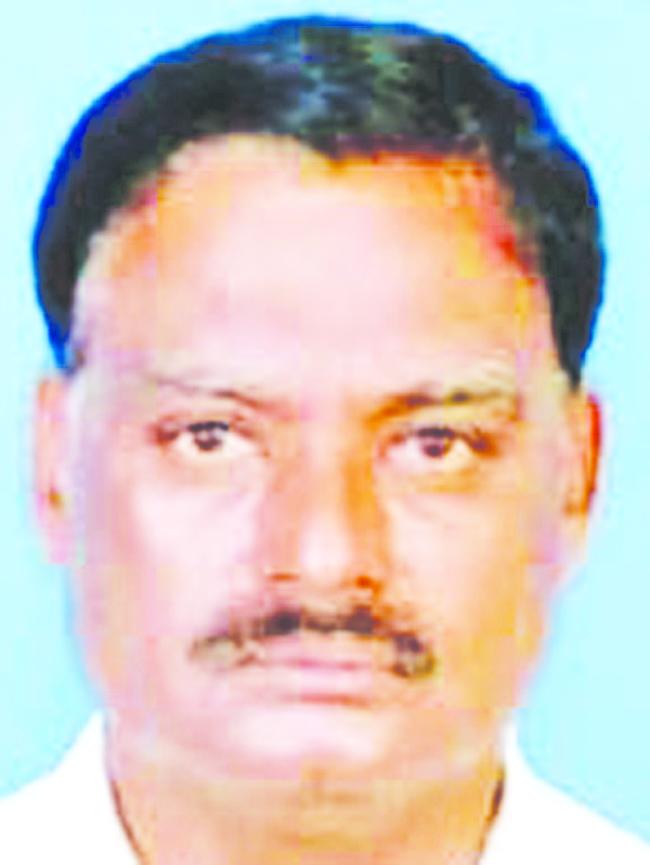 ಸಸ್ಯಗಳಿಗೆ ಪೋಷಕಾಂಶಗಳನ್ನು ಒದಗಿಸಲು ನ್ಯಾನೋ ಡಿಎಪಿ ನೆರವು 