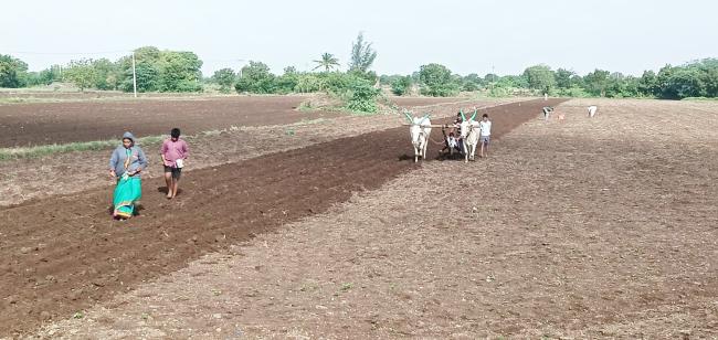 ಭಾರಿ ಮಳೆಯಿಂದ ರೈತರು ಮುಂಗಾರು ಬಿತ್ತನೆ ಪ್ರಾರಂಭ 