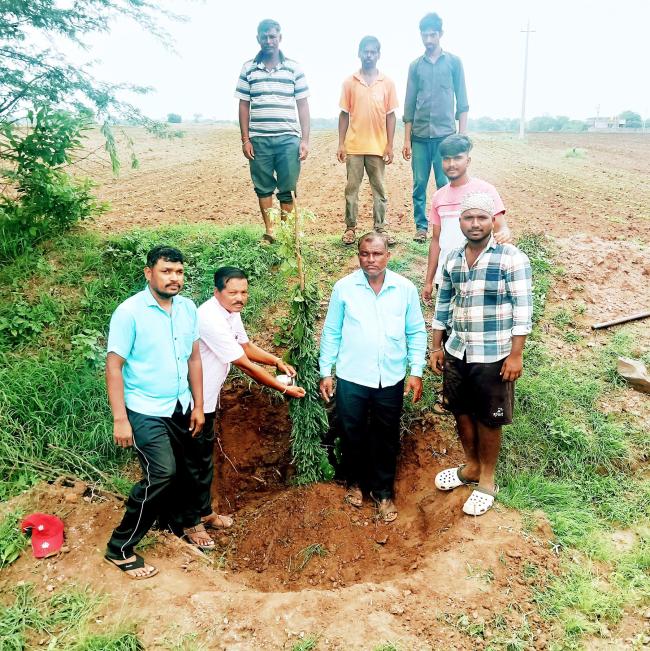 ಸಸಿ ನಾಟಿ ಕಾರ್ಯಕ್ರಮಕ್ಕೆ ಚಾಲನೆ 