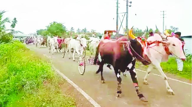 ಲಕ್ಷ್ಮೀ ಜಾತ್ರೆ: ಅಂತರ ರಾಜ್ಯ ಮಟ್ಟದ ಜೋಡೆತ್ತಿನ ಗಾಡಿ ಶರ್ಯತ್ತು 