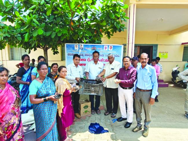ಮಹಿಳಾ ಫಲಾನುಭವಿಗಳಿಗೆ ನಾಟಿ ಕೋಳಿ ಮರಿಗಳ ವಿತರಣೆ 