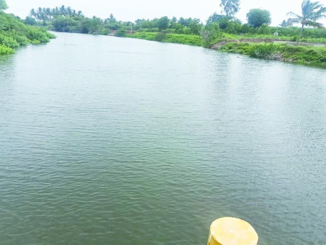 ತುಂಬಿ ಹರಿಯುತ್ತಿರುವ ಅಗ್ರಾಣಿ ನದಿ 