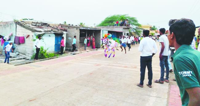 ಮುಗಳಿಹಾಳದಲ್ಲಿ ಅಲಂಕರಿಸಿದ ಎತ್ತುಗಳಿಂದ ಕಾರ ಹುಣ್ಣಿಮೆ ಆಚರಣೆ 