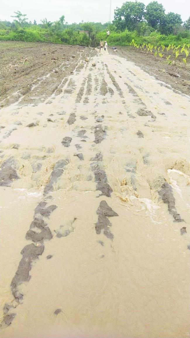 ಮಳೆ ಅಬ್ಬರಕ್ಕೆ ಬೆಳೆ ಹಾನಿ 